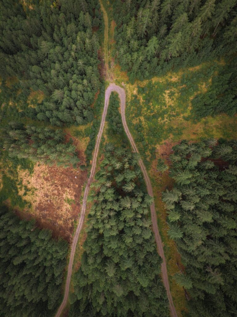 Detour