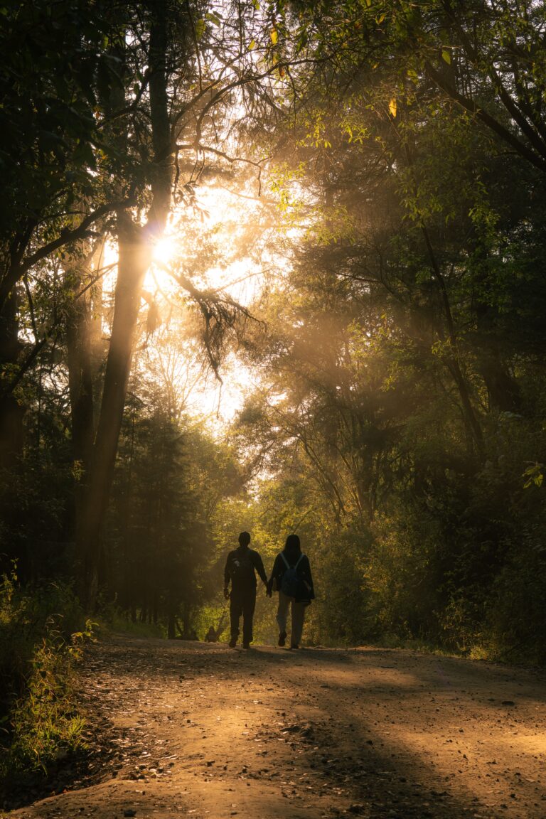 Walking in Light