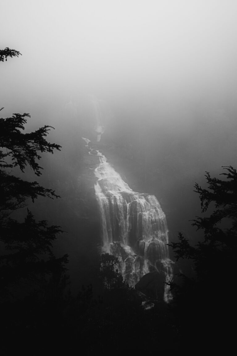 Impertinence