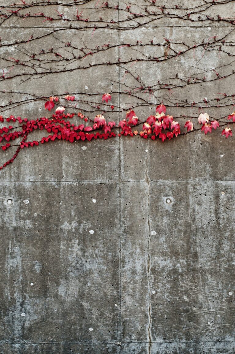 Walls